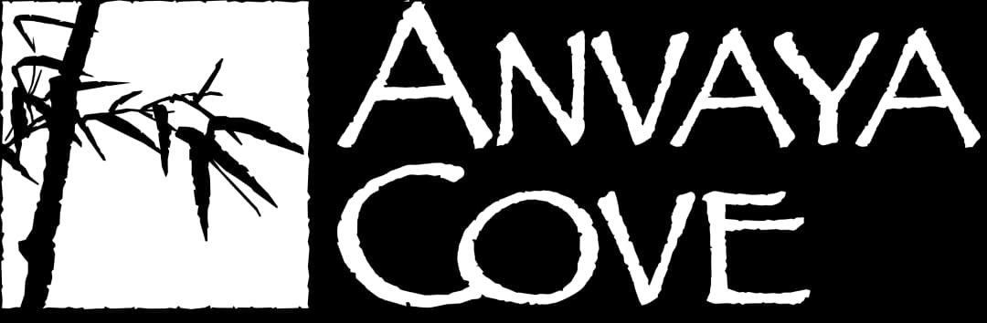 Anvaya Logo